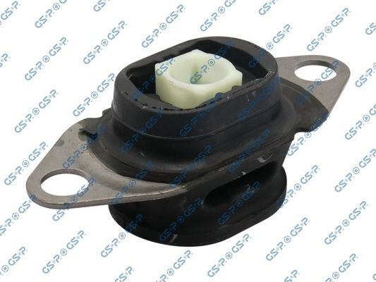 Variklio montavimas GSP 537634