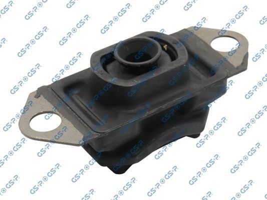 Variklio montavimas GSP 537640