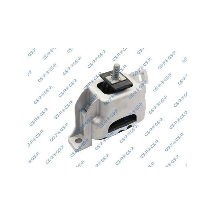 Variklio montavimas GSP 537655