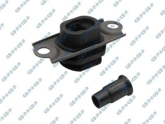 Variklio montavimas GSP 537697