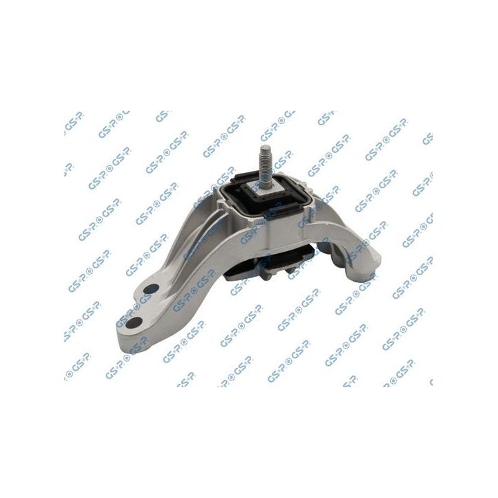 Variklio montavimas GSP 537790