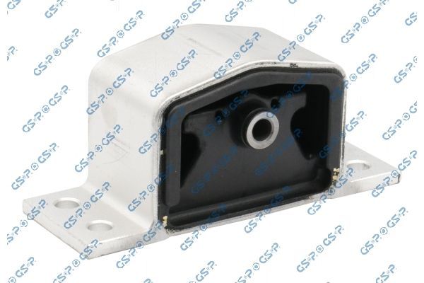 Variklio montavimas GSP 537864