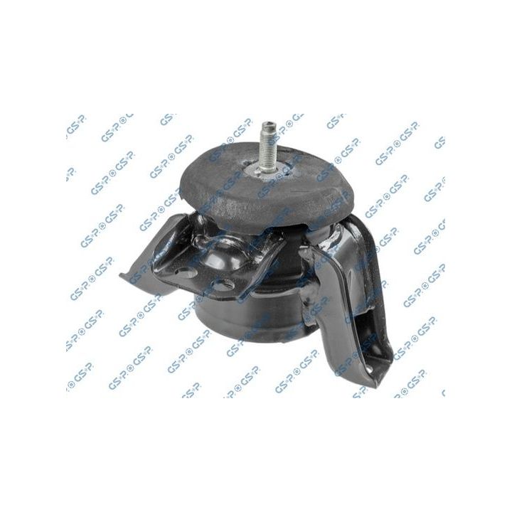 Variklio montavimas GSP 537899