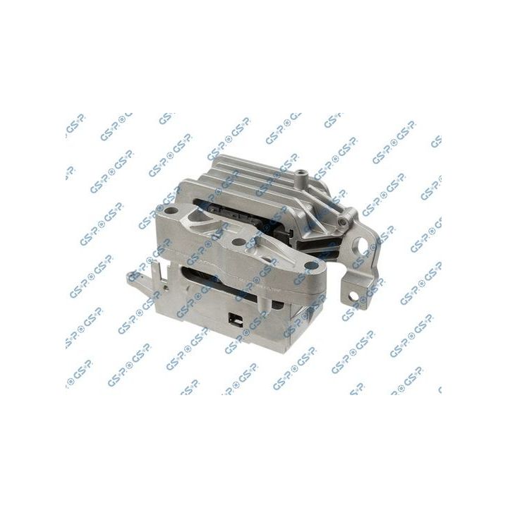 Variklio montavimas GSP 537960