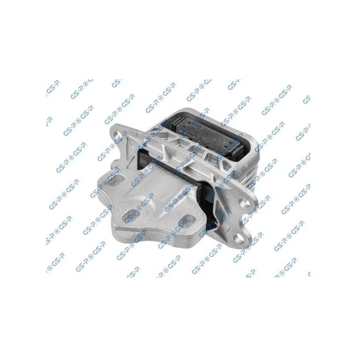 Variklio montavimas GSP 538042