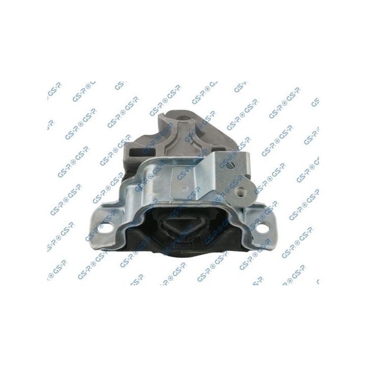 Variklio montavimas GSP 538116