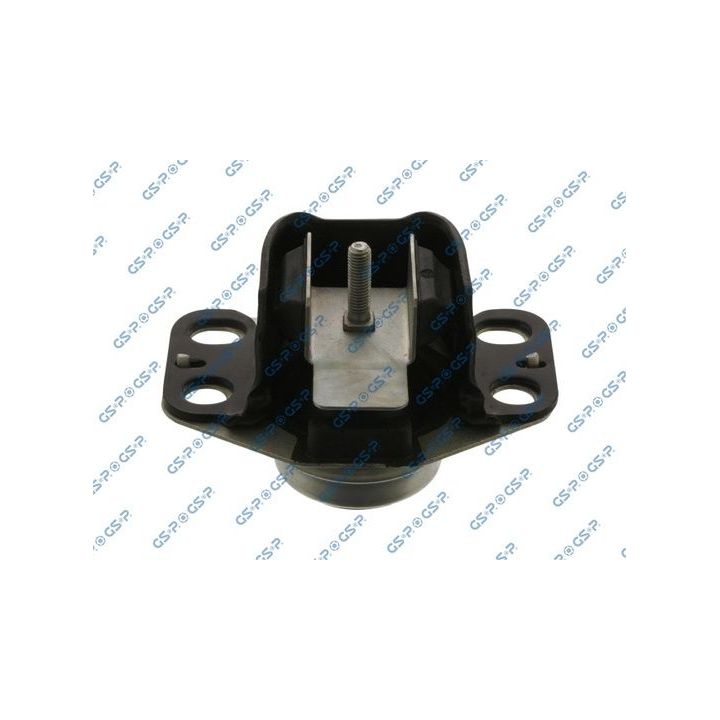 Variklio montavimas GSP 538131