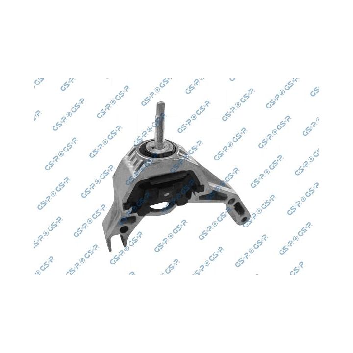 Variklio montavimas GSP 538142
