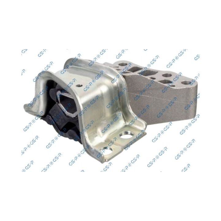 Variklio montavimas GSP 538147