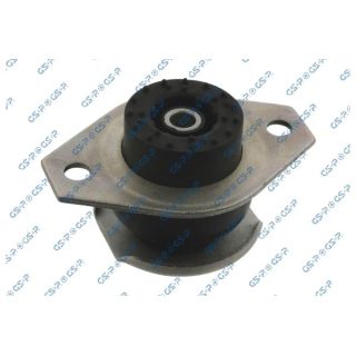 Variklio montavimas GSP 538268