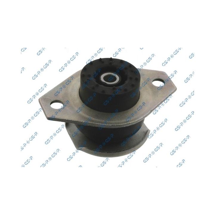 Variklio montavimas GSP 538268