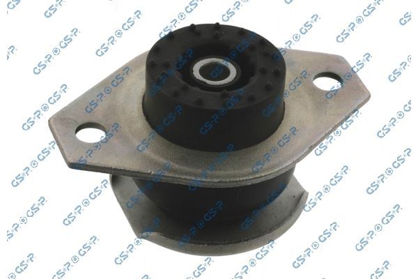 Variklio montavimas GSP 538268