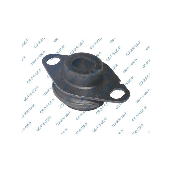 Montavimas, automatinė transmisija GSP 510750