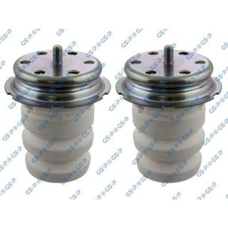 Apsauginio dangtelio komplektas, amortizatorius GSP 5407720PK