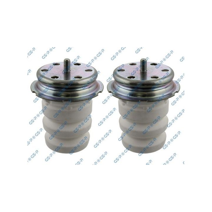 Apsauginio dangtelio komplektas, amortizatorius GSP 5407720PK
