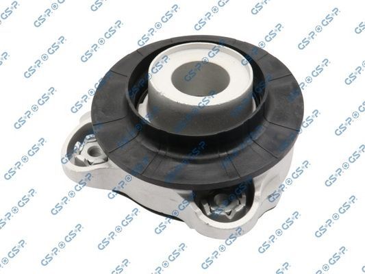 Pakabos statramsčio atraminis guolis GSP 534038