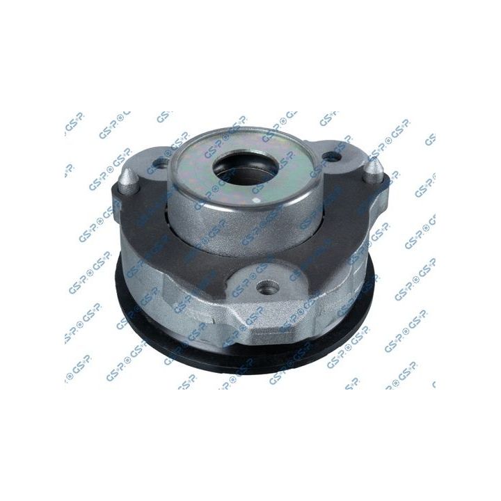 Pakabos statramsčio atraminis guolis GSP 534074