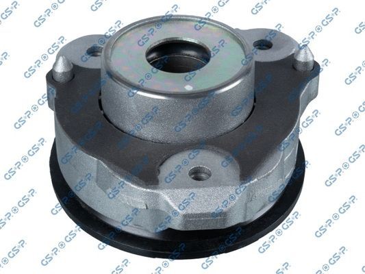 Pakabos statramsčio atraminis guolis GSP 534074