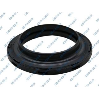 Frikcinis guolis, pakabos statramsčio atramos montavimas GSP 510711