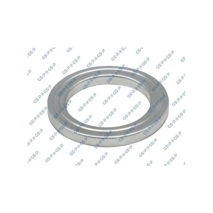 Frikcinis guolis, pakabos statramsčio atramos montavimas GSP 510730