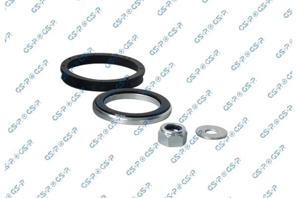 Frikcinis guolis, pakabos statramsčio atramos montavimas GSP 510730K