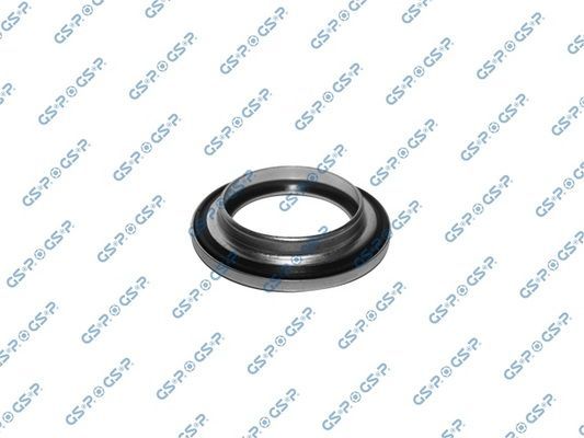 Frikcinis guolis, pakabos statramsčio atramos montavimas GSP 510769