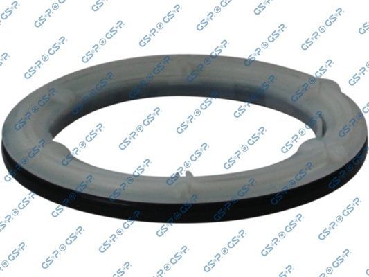 Frikcinis guolis, pakabos statramsčio atramos montavimas GSP 511314