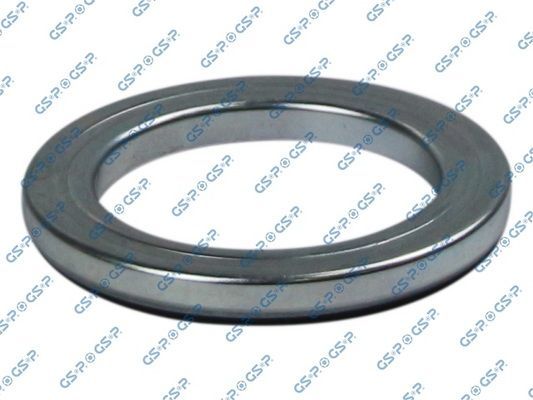 Frikcinis guolis, pakabos statramsčio atramos montavimas GSP 513934