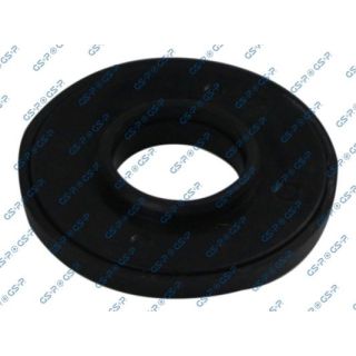 Frikcinis guolis, pakabos statramsčio atramos montavimas GSP 518097