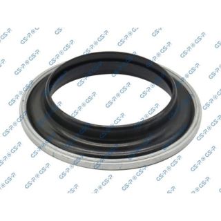 Frikcinis guolis, pakabos statramsčio atramos montavimas GSP 518157