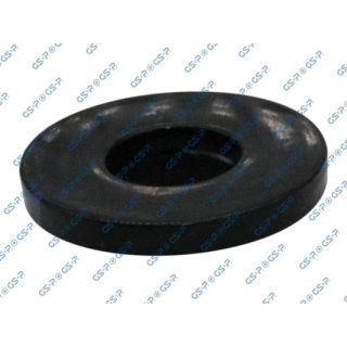 Frikcinis guolis, pakabos statramsčio atramos montavimas GSP 518991