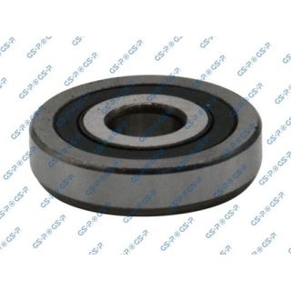 Frikcinis guolis, pakabos statramsčio atramos montavimas GSP 519005