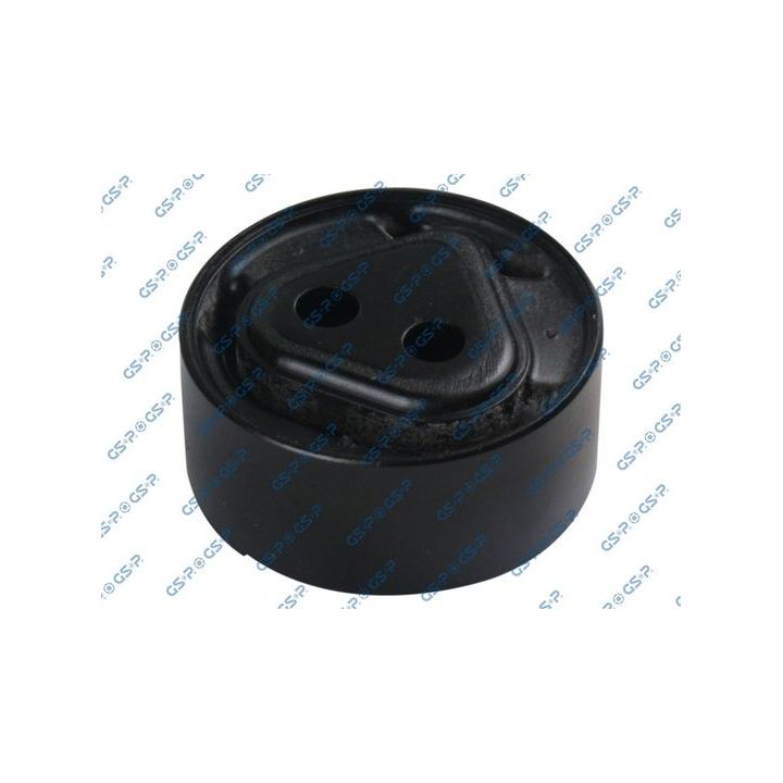 Montavimas, diferencialas GSP 519038