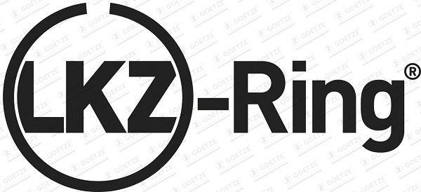 Stūmoklio žiedų komplektas GOETZE ENGINE 08-429300-00