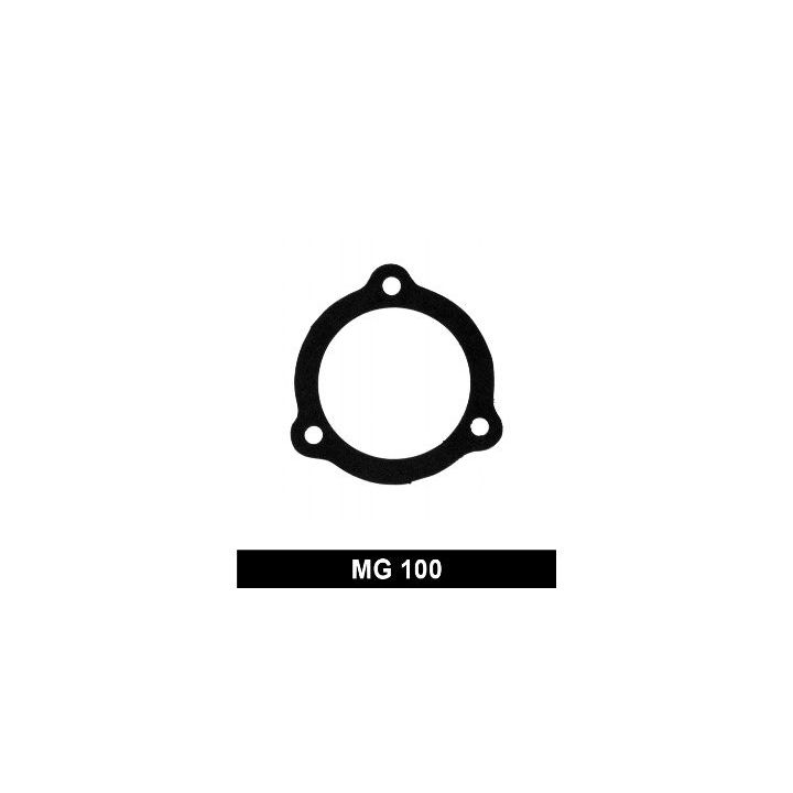 Tarpiklis, termostatas MOTORAD MG100