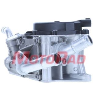 Termostatas, aušinimo skystis MOTORAD 1221-81