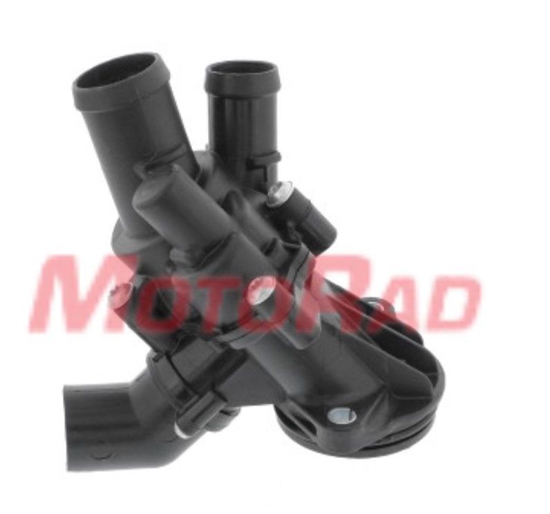 Termostatas, aušinimo skystis MOTORAD 1241-87K