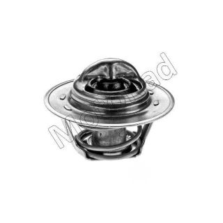 Termostatas, aušinimo skystis MOTORAD 201-91