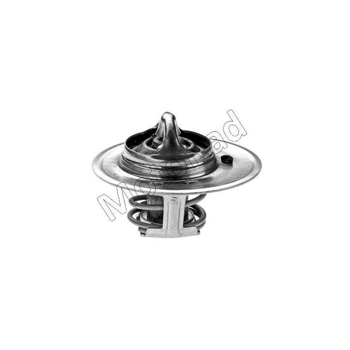 Termostatas, aušinimo skystis MOTORAD 241-82K