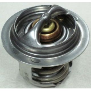 Termostatas, aušinimo skystis MOTORAD 294-82K