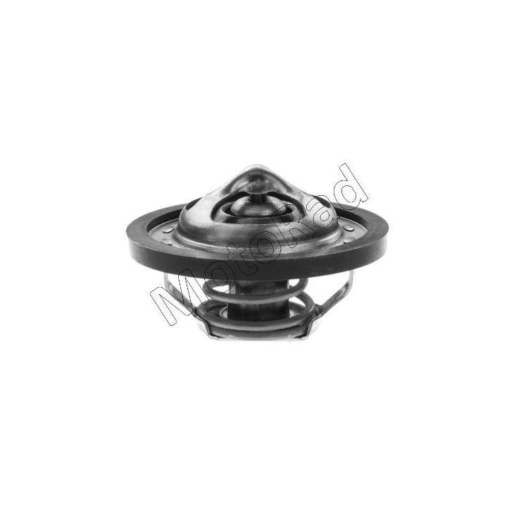 Termostatas, aušinimo skystis MOTORAD 457-95K