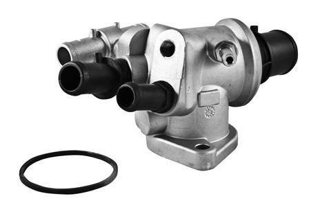 Termostatas, aušinimo skystis MOTORAD 493-88K