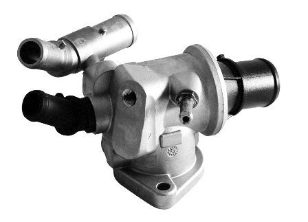 Termostatas, aušinimo skystis MOTORAD 496-88K