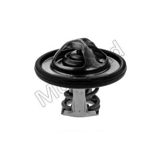 Termostatas, aušinimo skystis MOTORAD 531-82K