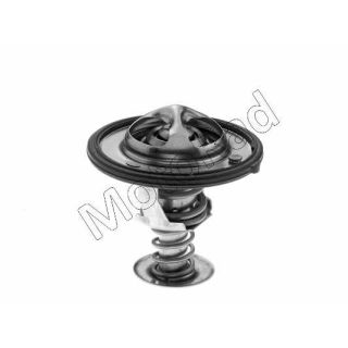 Termostatas, aušinimo skystis MOTORAD 545-82K