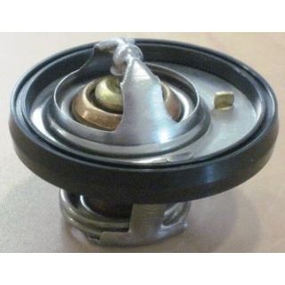 Termostatas, aušinimo skystis MOTORAD 656-91K