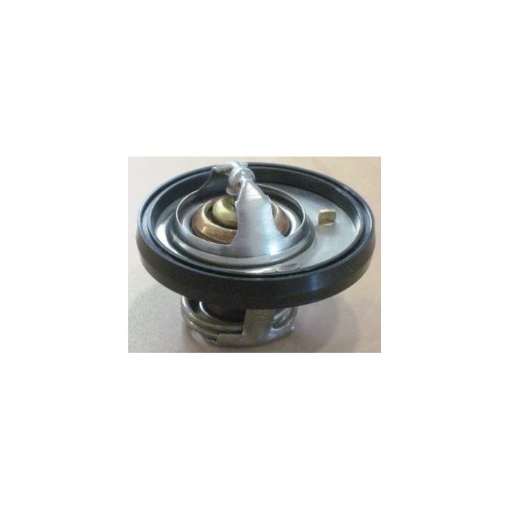 Termostatas, aušinimo skystis MOTORAD 656-91K