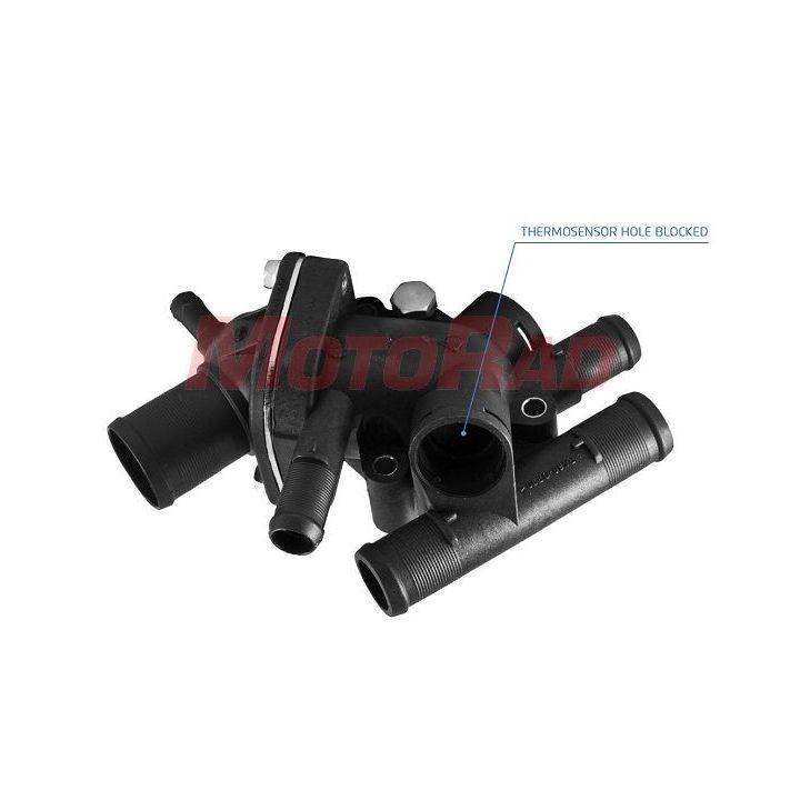 Termostatas, aušinimo skystis MOTORAD 697-89K