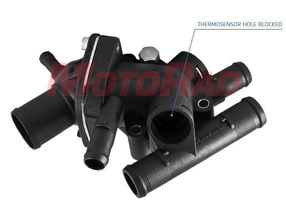 Termostatas, aušinimo skystis MOTORAD 697-89K