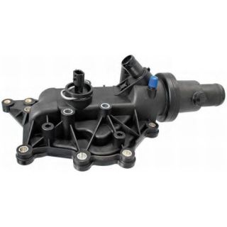 Termostatas, aušinimo skystis MOTORAD 810-89K